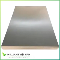 Titanium Plate